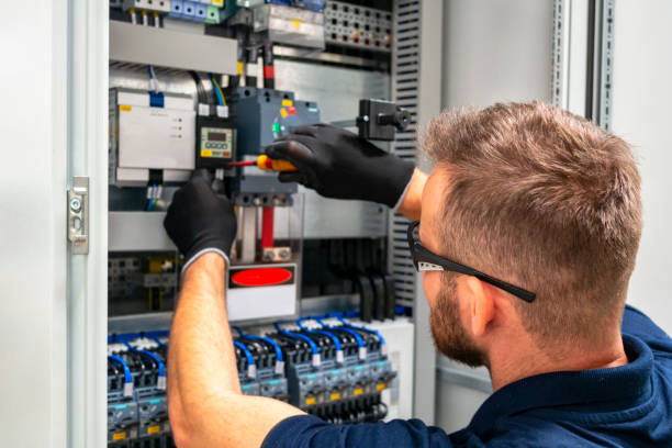 Best Electric Panel Repair  in Alvin, TX